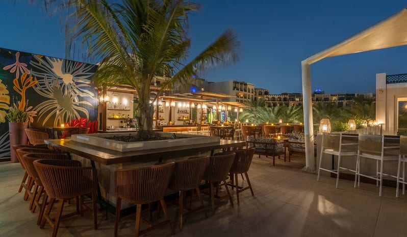 Arela - Adults only bar(5)